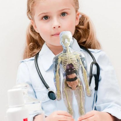 Ljudsko tijelo – tijelo za učenje anatomije