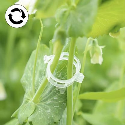 60x Podrška za biljke - GreenGrow