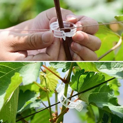 60x Podrška za biljke - GreenGrow
